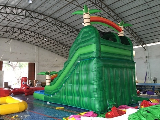 Custom Made 0.55mm PVC Inflatable Water Slides For Childre 14 Years Age