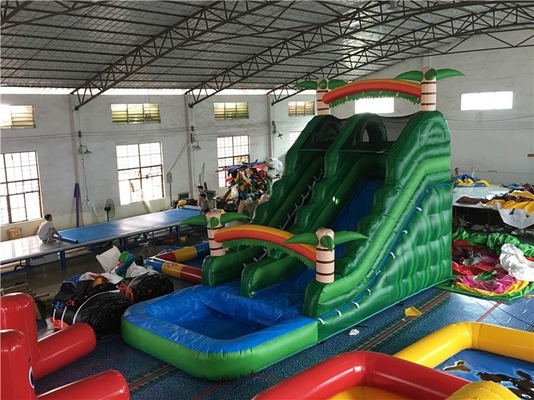 Custom Made 0.55mm PVC Inflatable Water Slides For Childre 14 Years Age