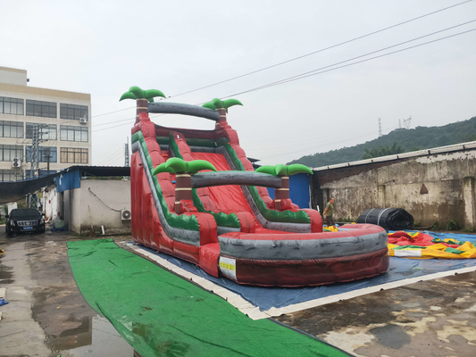 Digital Printing Tree Inflatable Castle Slide With Pool Customized Color