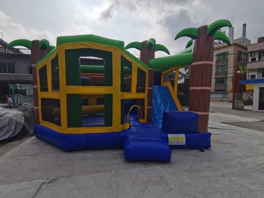 Colourful Plato PVC Inflatable Bounce Castle Slide Combo