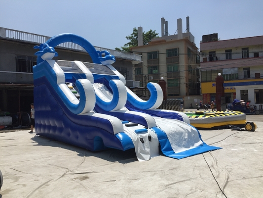 Commercial Inflatable Water Slide Amusement Inflatable Bouncer Castles