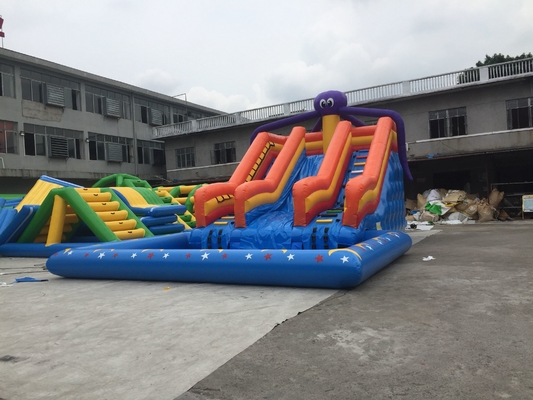 Octopus Inflatable Water Slide With Pool Amusement Park