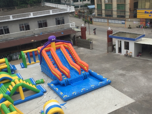 Octopus Inflatable Water Slide With Pool Amusement Park