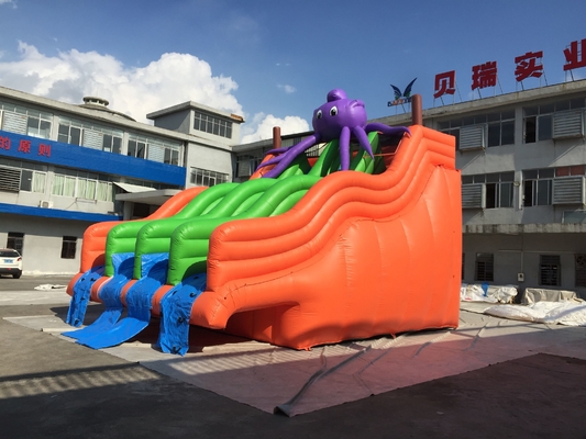 Adult Size 0.9mm PVC Inflatable Water Slide Jumping Castle Slide