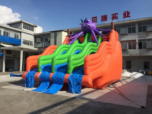 Adult Size 0.9mm PVC Inflatable Water Slide Jumping Castle Slide