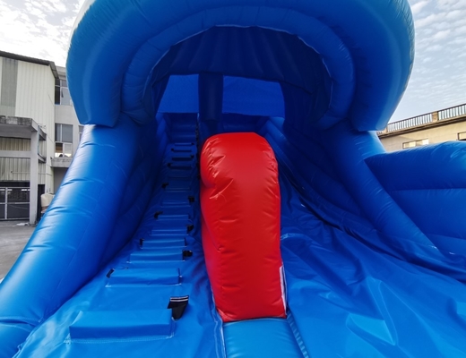 Commercial Inflatable Water Slides Whale Design Home Backyard