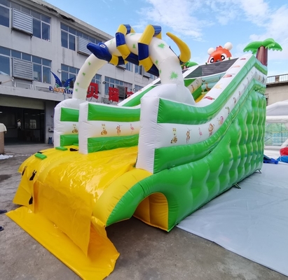 Safety Adults Size PVC Inflatable Water Slides Fire Resistant