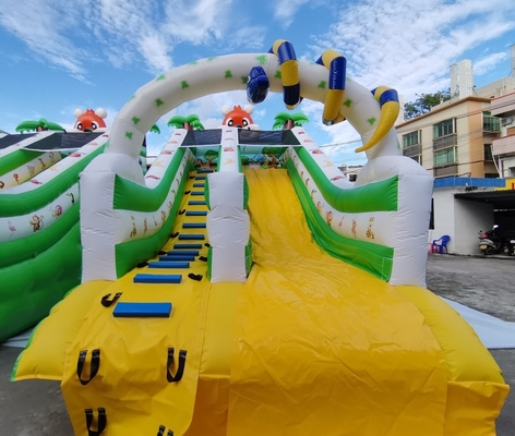 Safety Adults Size PVC Inflatable Water Slides Fire Resistant