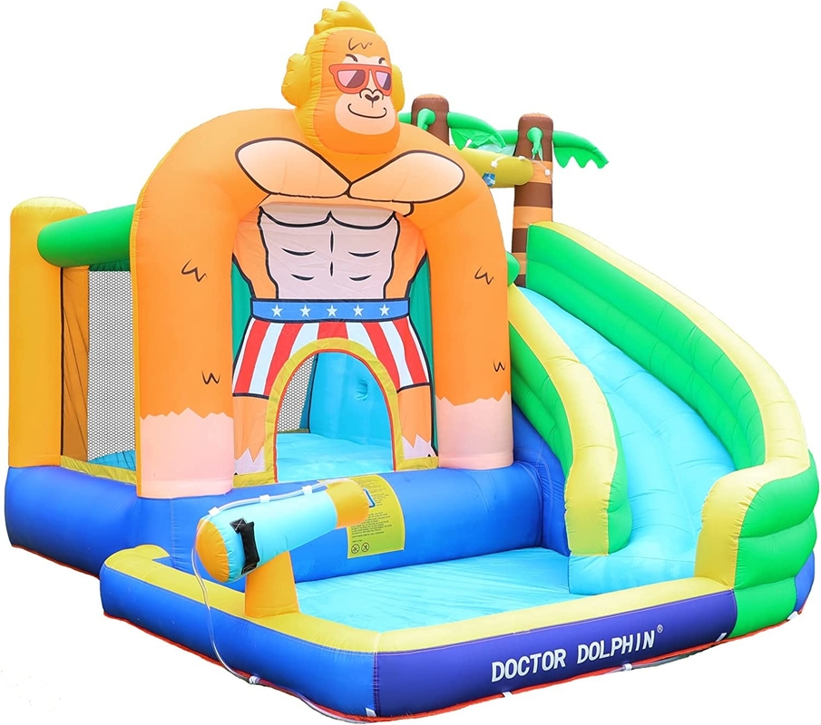 Doctor Dolphin Inflatable Water Slide For Toddler Water Bounce House With Splash Pool