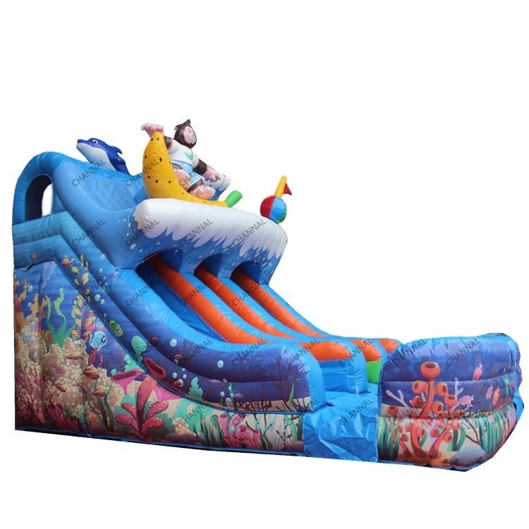 0.55mm PVC Backyard Inflatable Water Slides Double Lane Water Slide
