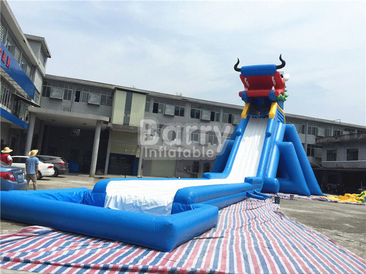 Adult Inflatable Water Slide