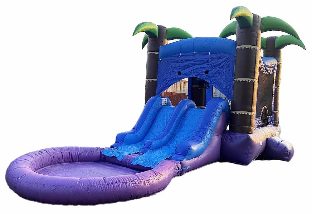 Customized Combo Bouncer With 2 Slides And  Pool Wet Or Dry Jumping Castle With Water Slide