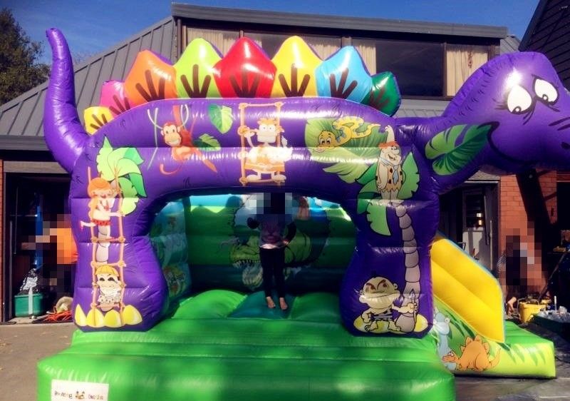 Kids Inflatable Bouncer Cartoon Jumping Castle Kid Fun / Inflatable Castle