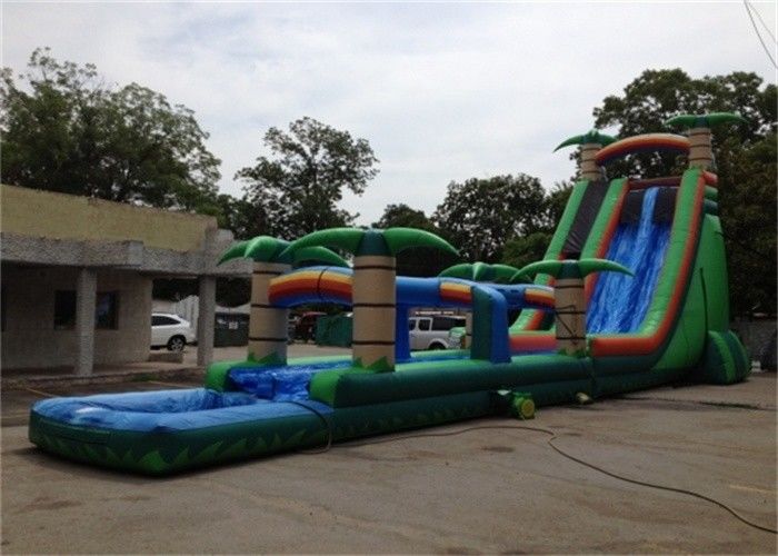 Attractive Big Commercial Inflatable Backyard Water Slide For Adult