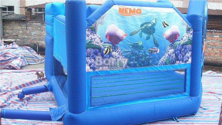 Amphiprion Nigripes Big Castle Moonwalk Blue Clown Fish ...