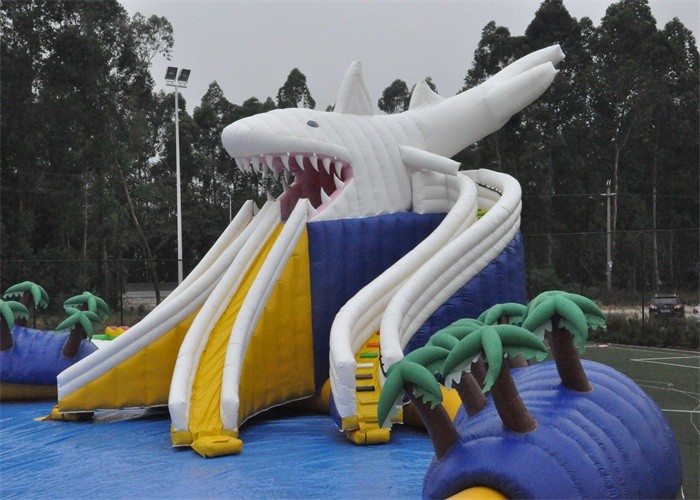 inflatable toys for lake