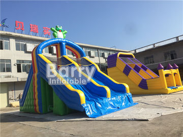 PVC Tarpaulin Double Lanes Inflatable Water Slides Frog For Swimming Pool